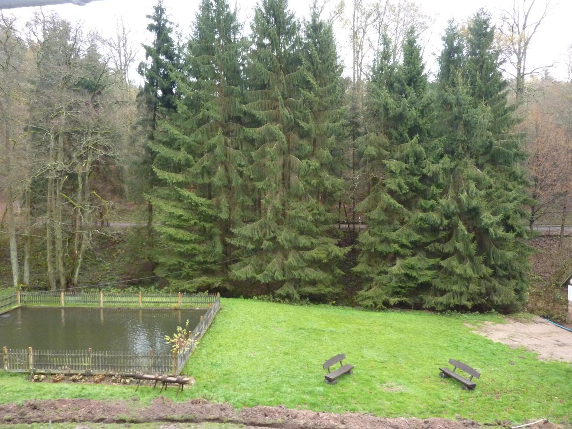 Hof Guttels Waldgasthof Ferienpension روتنبرغ ان در فل الغرفة الصورة